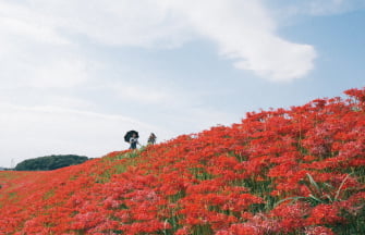 南吉の里エリア